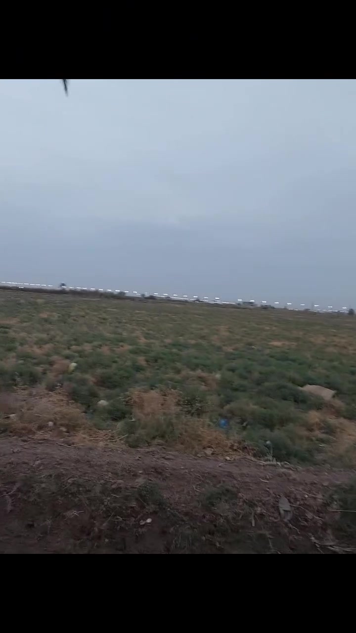 الجزيرة البوعيثة • ٧٫٥ دونم • طابو زراعي