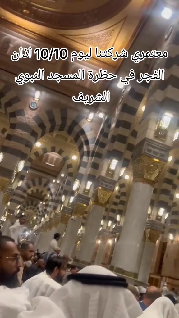سياحة • سفر • بدون تفاصيل