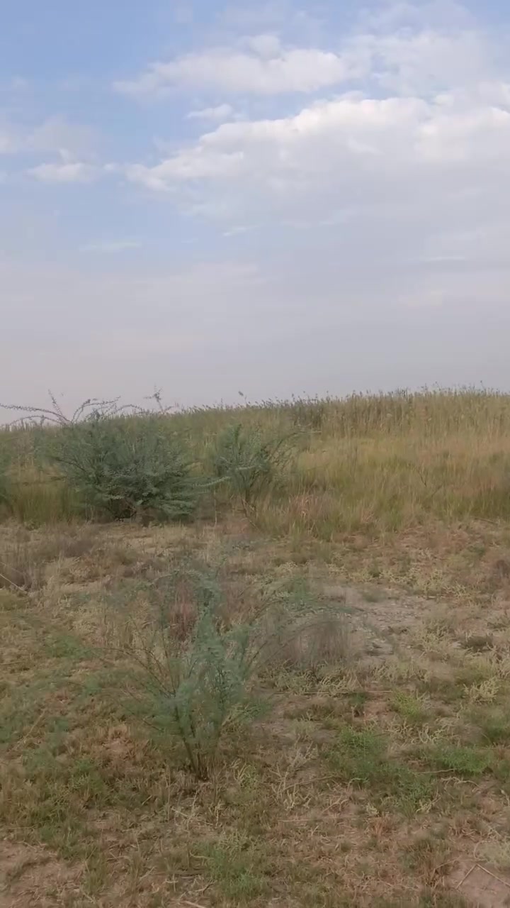 ٤٤ دونم • ابو سديره • طابو تحويل مباشر