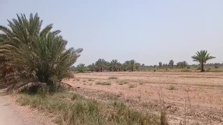 يالله 
السلام عليكم 
عرضنا لهذا اليوم 
8دونم 
طابو زراعي سند 25 
موقع الارض حله منطقة الدسمة 
للاستفسار مراجعه مكتب هنا المستقبل أو الاتصال 
***********
