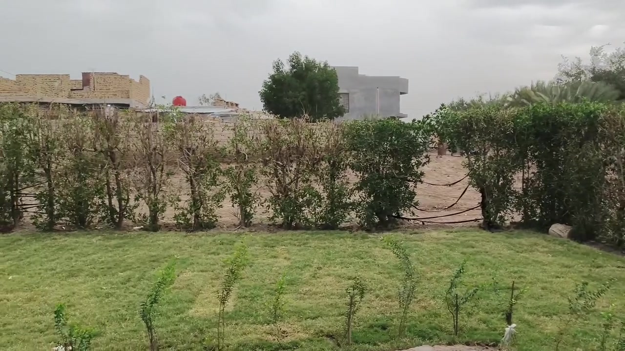 دار قديم بناء 2003 مع قطعه أرض مساحه1.650م خلف جامعة بابل يتوفر جميع الخدمات على الشارع مباشر اتصال أو واتساب *********** طابو زراعي سند 25 تحويل مباشر بسم المشتري
