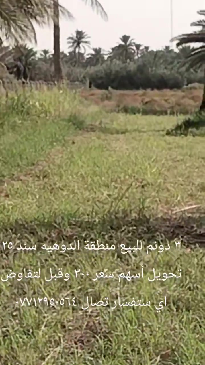 كربلاء السياحي • ٣ دونم • طابو زراعي