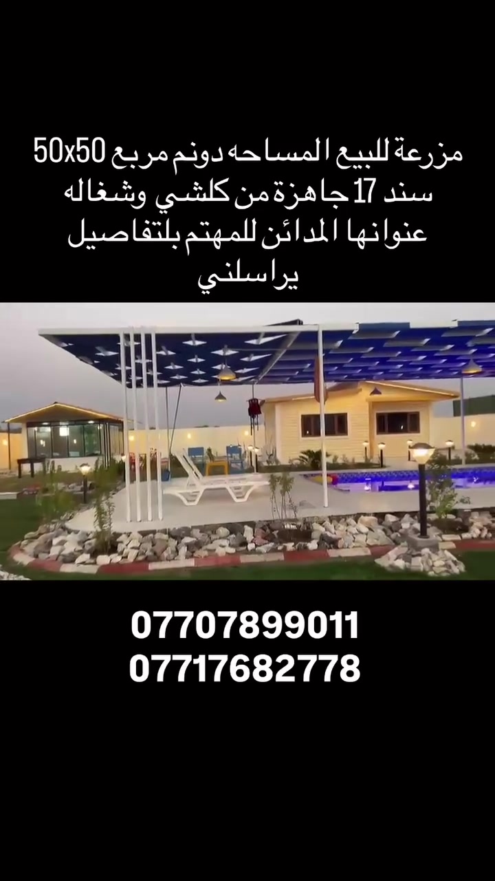 لا توجد تفاصيل
