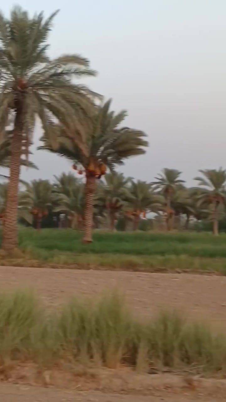 السلام عليكم 12دونم عقد 117 ماء سقي طول السنه ومذكور بفديو للاتصال ***********
