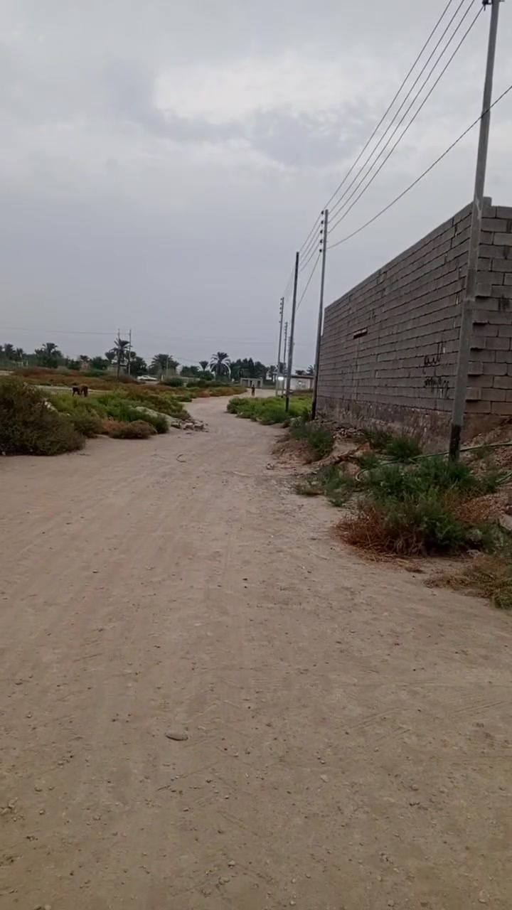 هيكل • ٢٠٠م • اسليم