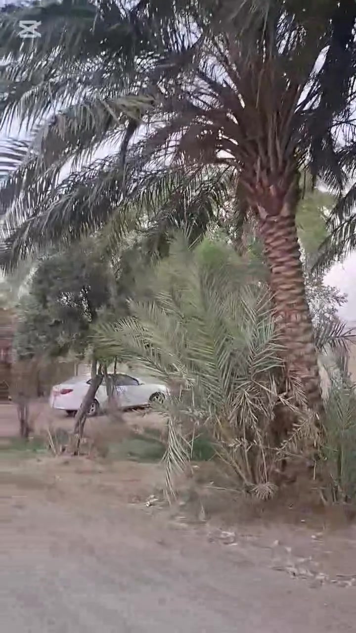 سلام عليكم بيت بغداد حي طارق القديم قرب صيطره القديم الثانيه عله ايدك اليسره   المساحه1400
متر البيت عله شارعين*********** بيت بغداد
سلام عليكم بيت بغداد حي طارق القديم قرب صيطره القديم الثانيه عله ايدك اليسره   المساحه1400
