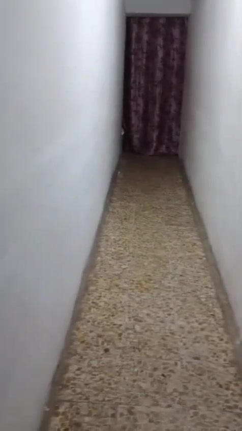 المساحه  144 متر صافي 
البيت نضيف 
مدينه الصدر قطاع 2 
قريب على شارع الصيانه وسوق الاولى
يم المدارس طابو تحويل مباشر باسمي
السعر ٢٤٥ وبي مجال 
***********
المساحة 144 هاي صافي لو إجمالي؟ وشنو توزيع البيت: كم غرفة، بيه حوش/كراج/سطح؟: 
صافي ١٤٤
٥ غرف وغرفة ٢×٣ مخزن 
موقعه بالضبط بقطاع 2: قريب على أي معلم أكثر؟ وهل الشارع سكني لو تجاري؟: 
سكني 
قريب على ساحة قطاع 2
الطابو تحويل مباشر باسمي، أكو أي أوراق ثانية جاهزة للمعاملة؟: 
تحويل مباشر
السعر ٢٤٥ مليون نهائي لو قابل للتفاوض؟ وشنو أفضل وقت للتواصل أو المعاينة؟: 
قابل للتفاوض 
التواصل
في اي وقت اليجي يدلل علينا