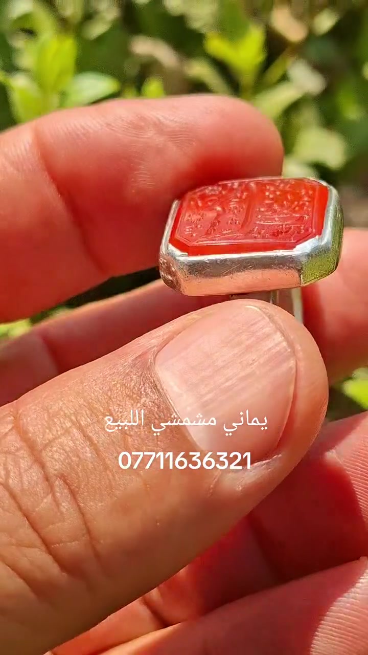 السلام عليكم محبس يماني مشمشي للبيع العنوان بغداد مدينه الصدر اللي يحب يتصل على هذا الرقم***********
