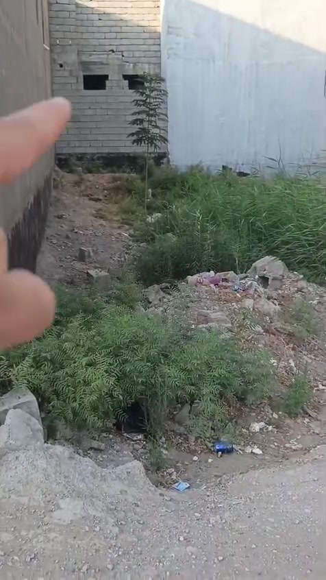 توضيح كامل بلتصوير
للبيع قطعة ارض مساحة 200 متر
10*20
زراعي سند 25 موقع بعقوبة نزلة جسر الشريف خلف محلات الغيبي سعر خاص استفسار ***********
