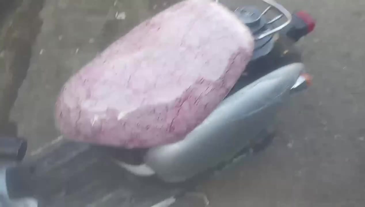 سكنس فحل • نضيف • محرك مفتوح