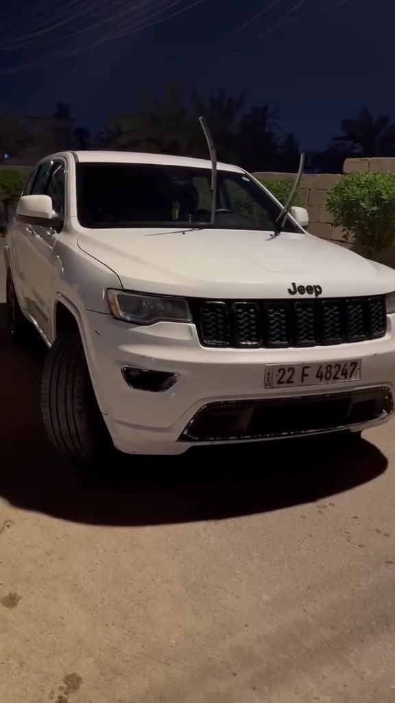 شيروكي • ٢٠١٧ • ضرر بالسونار