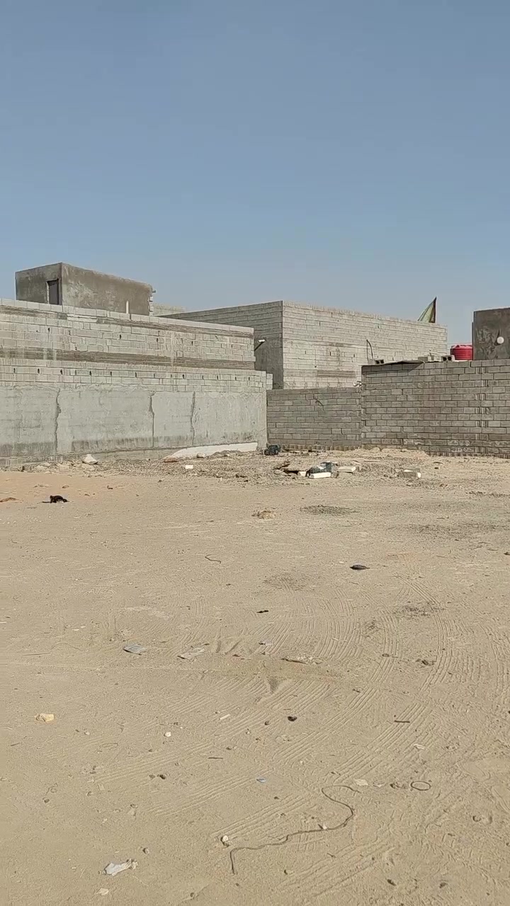 خور زبير • ٢٥٠م • أرض زراعي