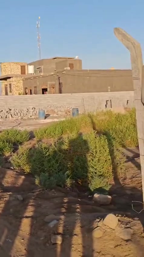السلام عليكم قطعه للبيع في حي المنصور نزله الشهداء مقابيل بيت سوادي القديم المساحه 500متر واجه 17 ونزال 29.5 سند 25 بسمنه مداور ثاني يوم للستفسار الاتصال عله الاقام التاليه ***********
***********
