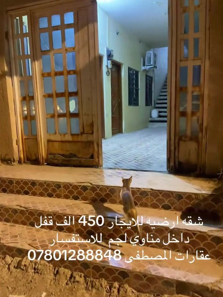لا توجد تفاصيل
