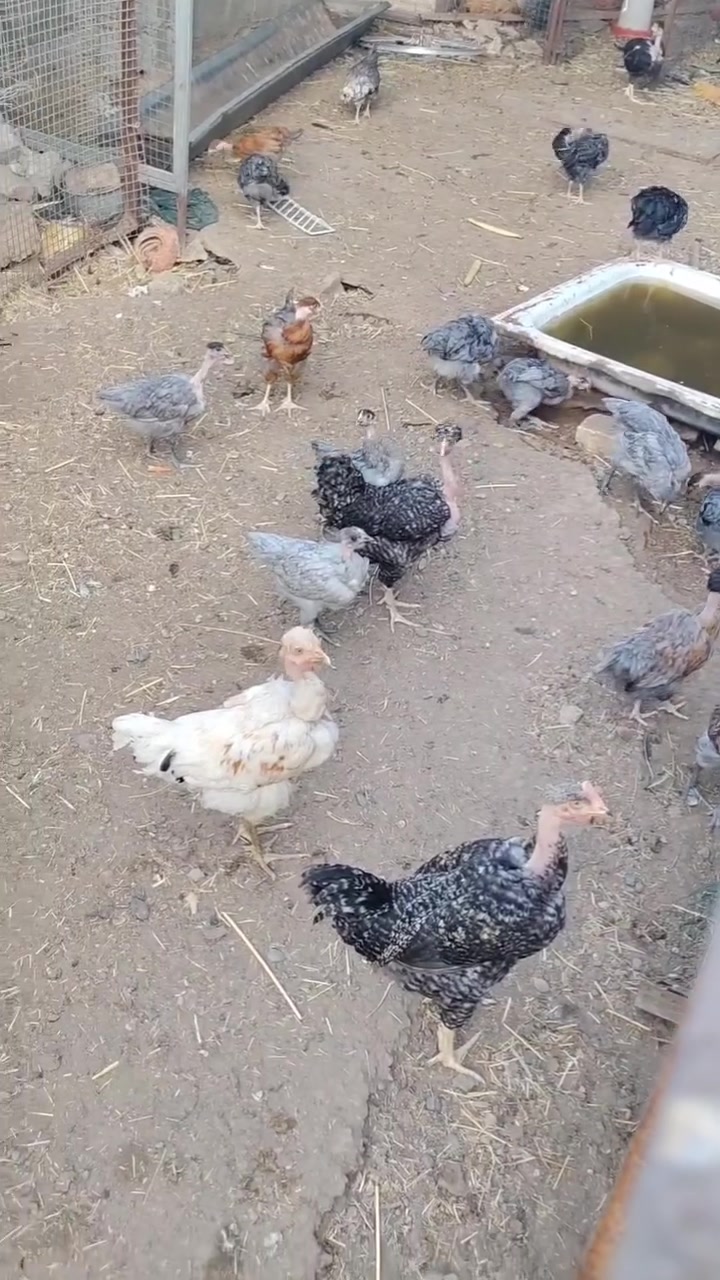 رصاصيات • ٥ أشهر