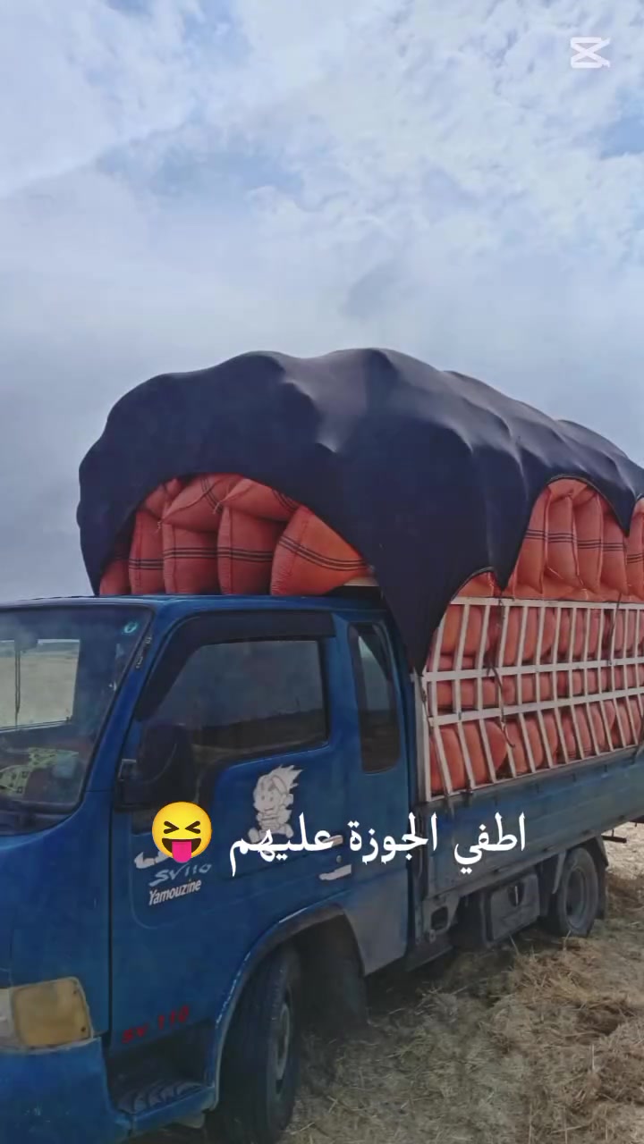 تبن • كيس ٦٠ • توصيل محافظات