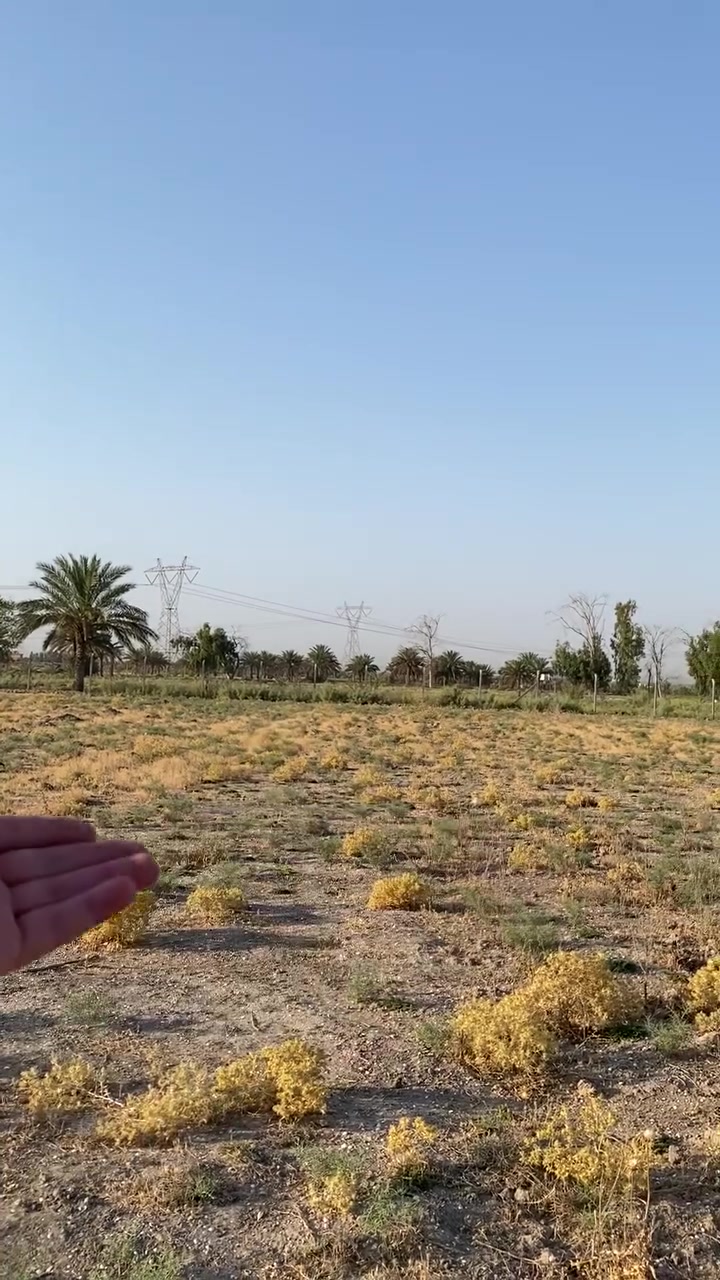 قطعة 2 دونم طابو 25 ع طابو الكاظمية
الوجه 36م , النزال 60م للدونم الواحد
ينباع دونم او دونمين
مخدوم بالكامل
📍الموقع البصام 6 كويمة
تبعد عن جسر الدوار 10 دقيقة
للاستفسار اكثر مراسلة الصفحة او الاتصال ع الارقام التالية
***********
***********
