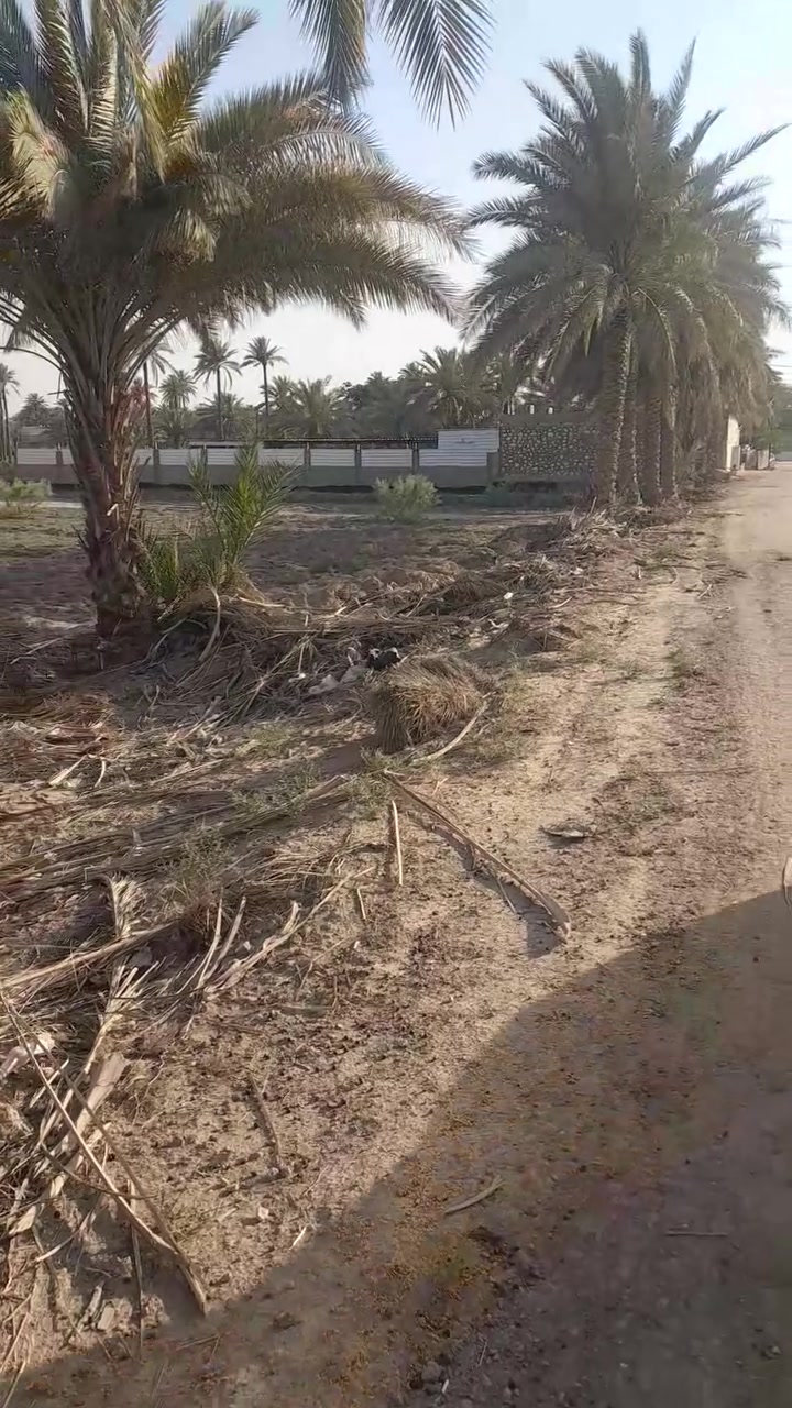 طويريج الرشيدة • ٣ دونم • مسيجة