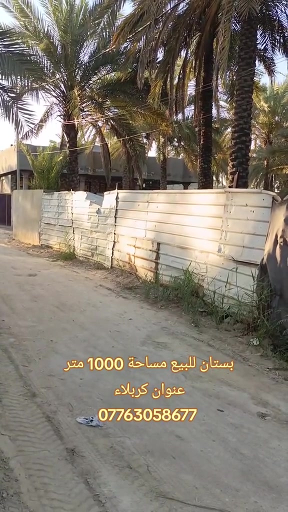 بستان للبيع مساحة 1000 متر 
عنوان كربلاء طريق الحسينية قرب فندق البارون تيل 114
سند 25 طابو تحويل أسهم بأسم المشتري 
سعر البستان 250 مليون قابل للتفاوض 
*********** ☎️
