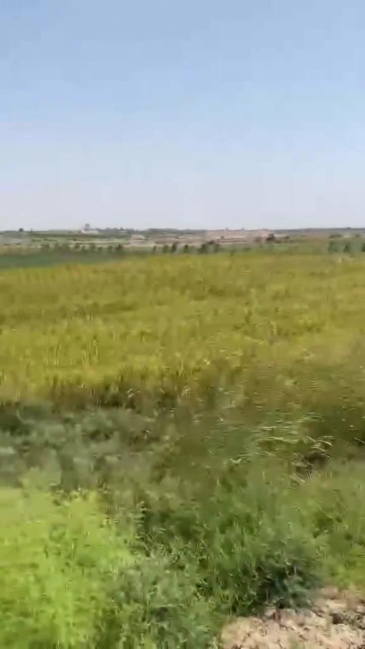 سلام عليكم كاع زراعيه للبيع دونمين ماي متوفر  الرفاعي طريق سيد أحمد قريه السهيل على التبليط للاستفسار اتصال*********** 
***********
