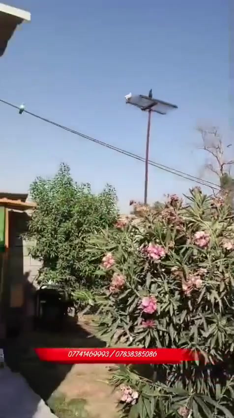 السلام عليكم من رخصه الادمن نيت للبيع مساحته 620 الواجهه 10 والنزال 62 مساحه البيت 150جنس الارض 35 الموقع جسر ديالى العريفيه مجاور قصابه المسعوديللاستفسار اتصال***********/***********
