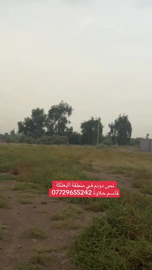 نصف دونم • ١٢٥٠م • البعلكة ديالى