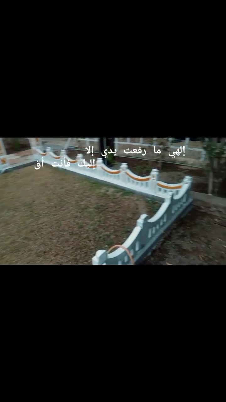 نعمل في زراعة الأشجار والنخيل والثييل وقص الاشجار الزينة وقص الثييل متواجدين في كل اليوم وفي كل بيت وديكورات داخل الحديقة +9647831643617 خبرة في مجال الزراعة اتصال او رساله على الواتساب
