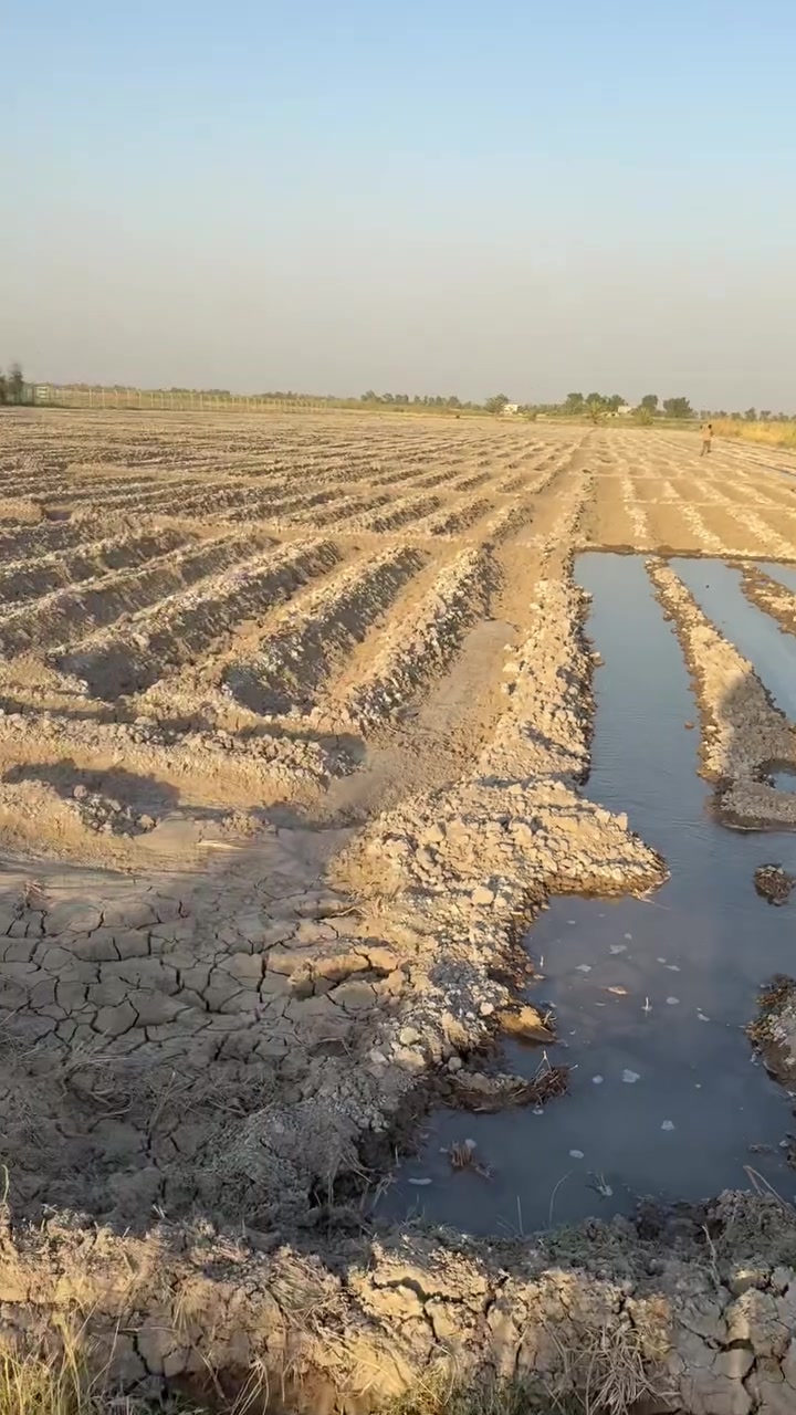 السعر ٣٠ مليون للدونم فقط 
طابو زراعي سند ٢٥ تحويل سند باسمك 

📍 بغداد التاجي ذراع دجله مجاور سبع البور 

هاتفي 📞 
***********
***********

