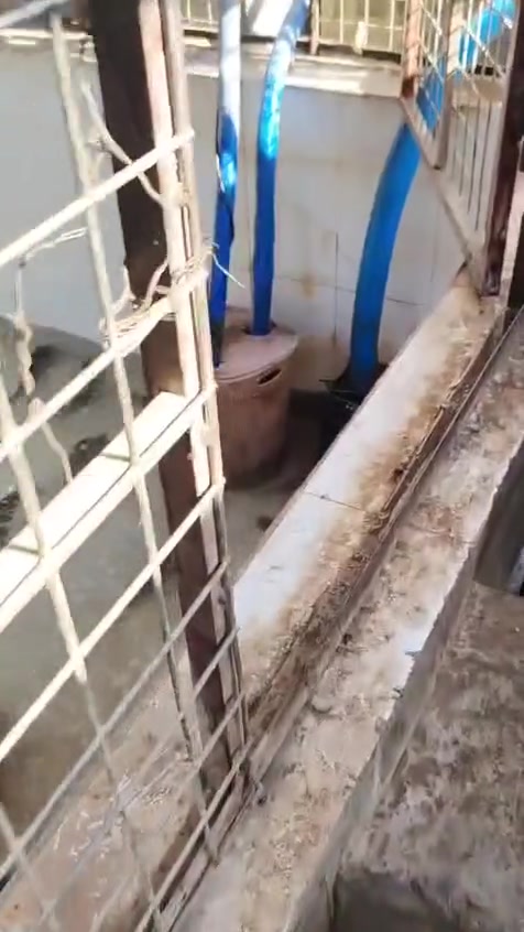 علوه اسماك زوزو وصلتنا وجبه اسماك درجه اولى مال داقوق كيلو بدون شوي 5000 مع شوي كيلو ب 6500خدمت توصيل موجوده كل بعقوبه عنوان ديالى بعقوبه مجاور قاعه بيانو  هذا ارقام الحجز *********** ♧☆ ***********
