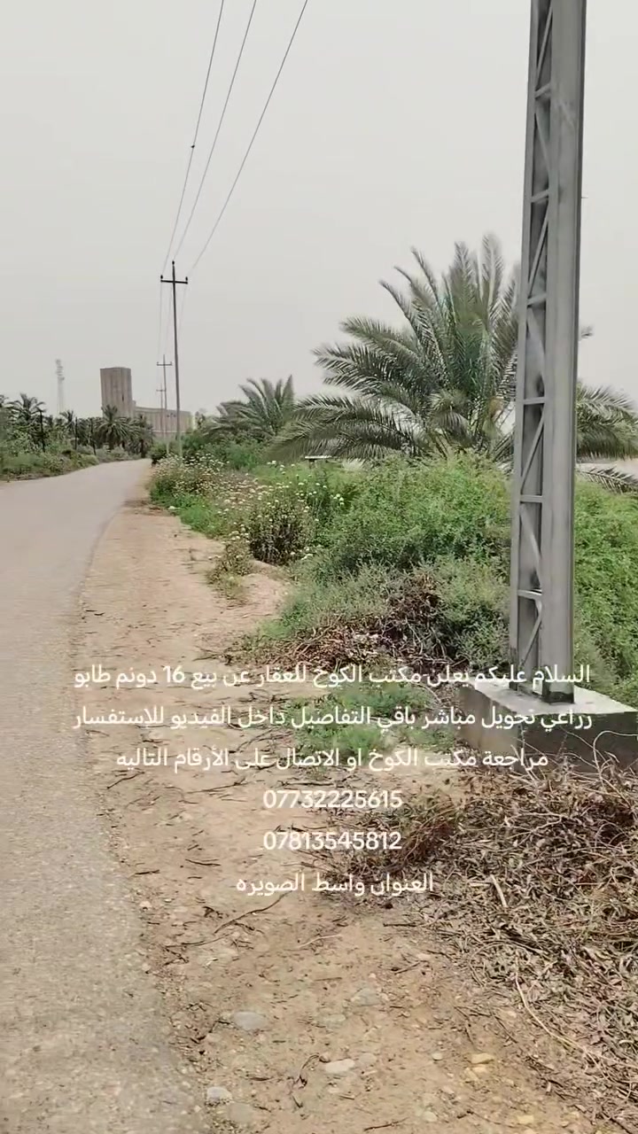 الصويرة واسط • ١٦ دونم • طابو زراعي