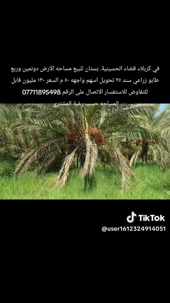 أرض • كربلاء الحسينية • ٥٦٢٥م