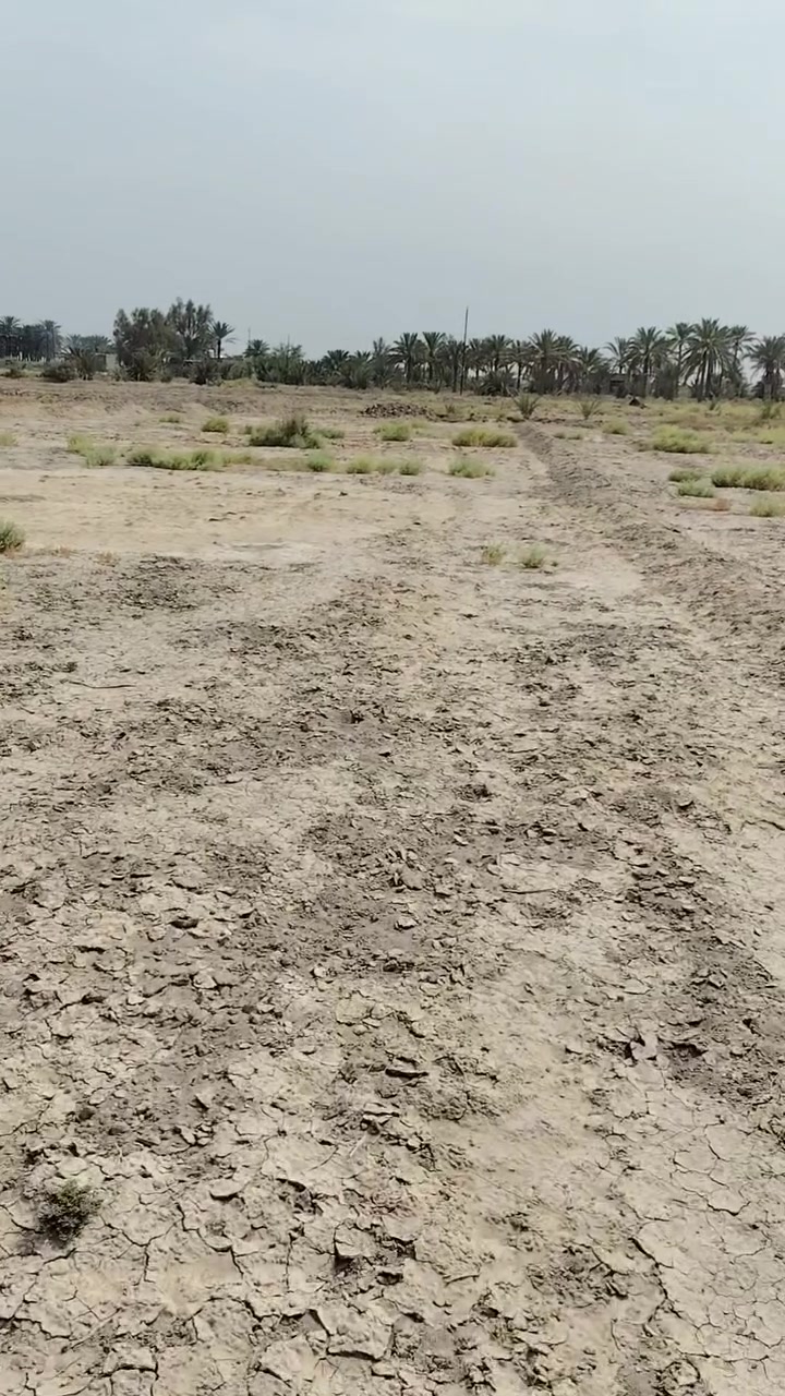 ارض زراعي • ٢٥ سنة • ١٢٢٥م