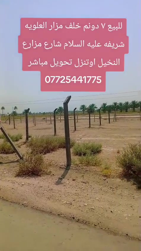 بابل • ٧-١٤ دونم • سند ٢٥