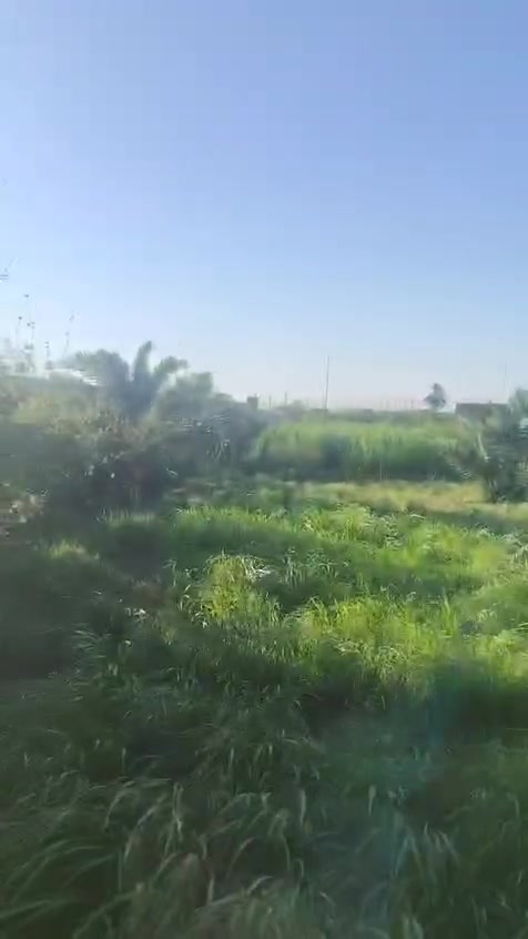 السلام عليكم دونم للبيع يوم سيطره بغداد ابو شطيب***********
