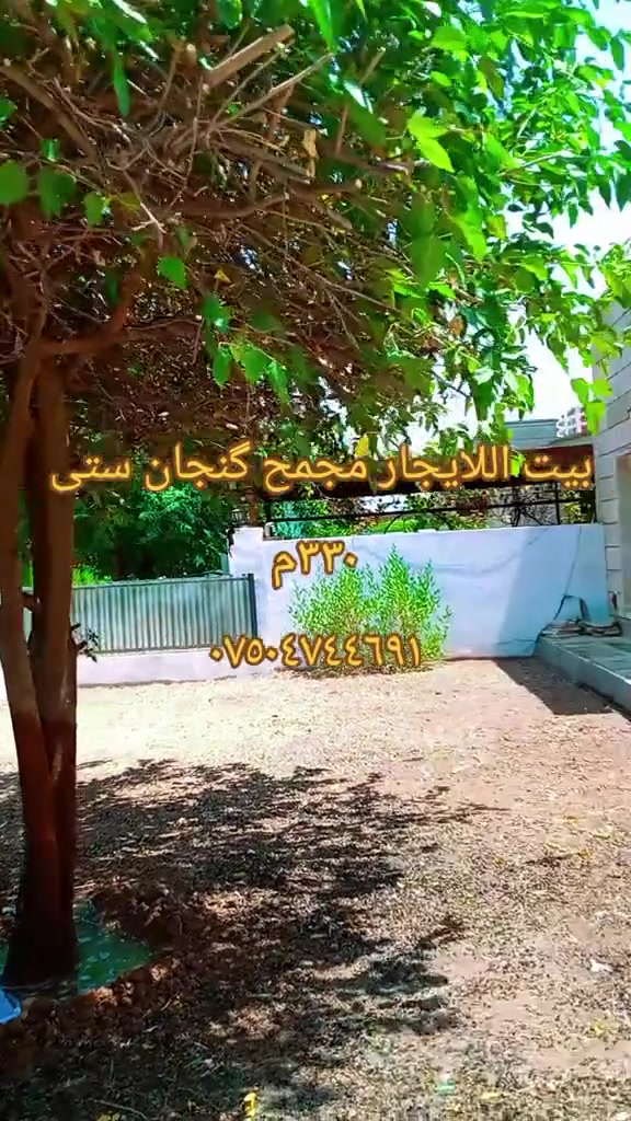 مجمع كنجان ستى • ٣٣٠م • للإيجار