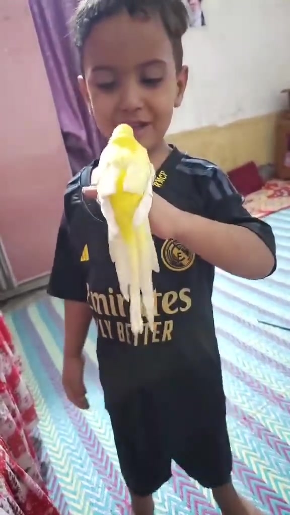 برانكيت • اليف • عيون ليزري