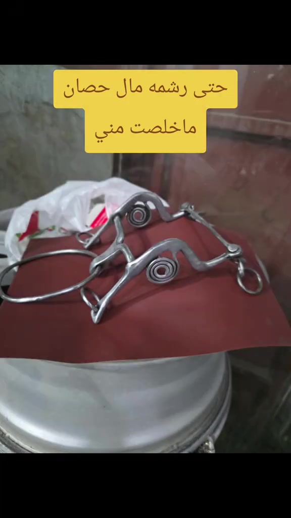 #محمد_كوستم 

نص مكتوب في الصور:
- حتی رشمه مال حصان ماخلصت مني