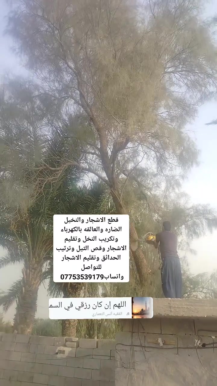 المشتل • بستنة