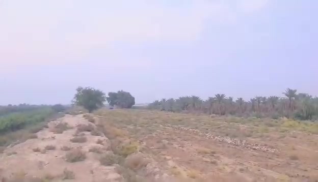 كربلاء الحر • ٢٩ دنم • ٢٥٠ نخلة