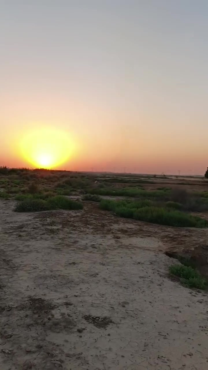 ارض زراعية عقد 117 . المساحة 35 دونم
تصلح سكن وزراعة
ماء كهرباء واصل كلشي تبليط وجه شارع ومدرسة قريبة ومحلات 
واجهة الارض ٨٠ متر 
المكان بغداد طريق الكوت مقابيل سيطرة اللج الاولى من جهة بغداد تبعد عن الشارع العام دقيقتين

***********
