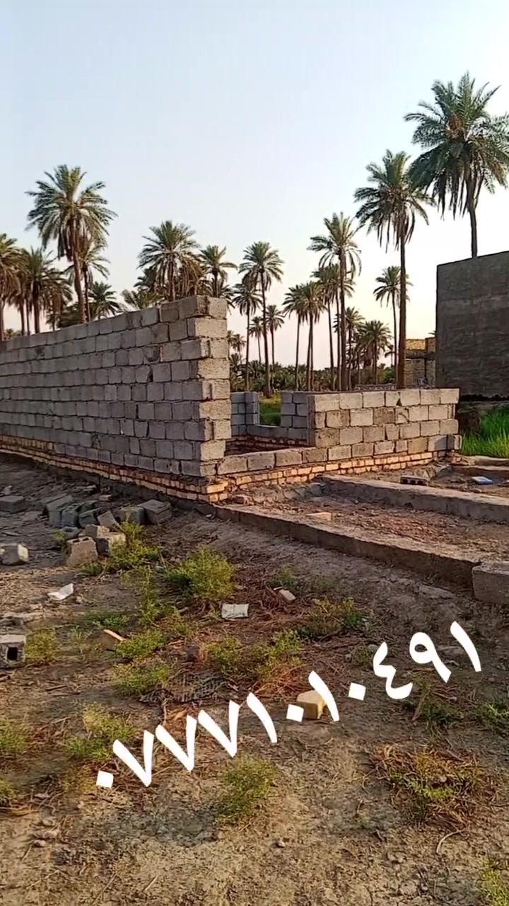 قطعه للبيع
رشيده خلف دكتور قتيبه مساحته ١٠٠ متر سعره ١٢ مليون للستفسار تصال ***********
