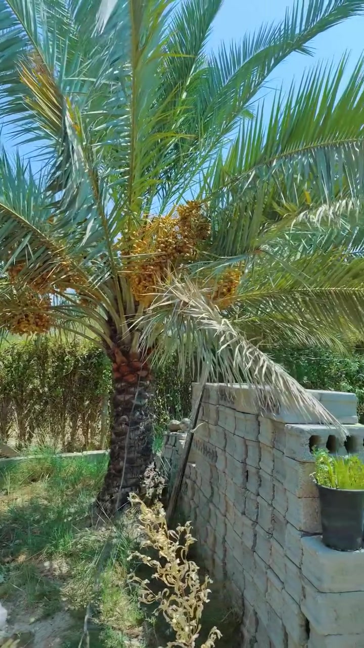 الموقع شارع بغداد كربلاء سايد الزوار عمود 60 مقابل جامعة الزهراء 
600 متر طابو زراعي سند 25 اقرار محكمة مع بيت بناء 🏢 درجه اولى طابوك جمهوري تحت البناء 160 متر 
كافة الخدمات متوفره عن مركز المدينة 3 كيلو وعن شارع بغداد كيلو 
***********
