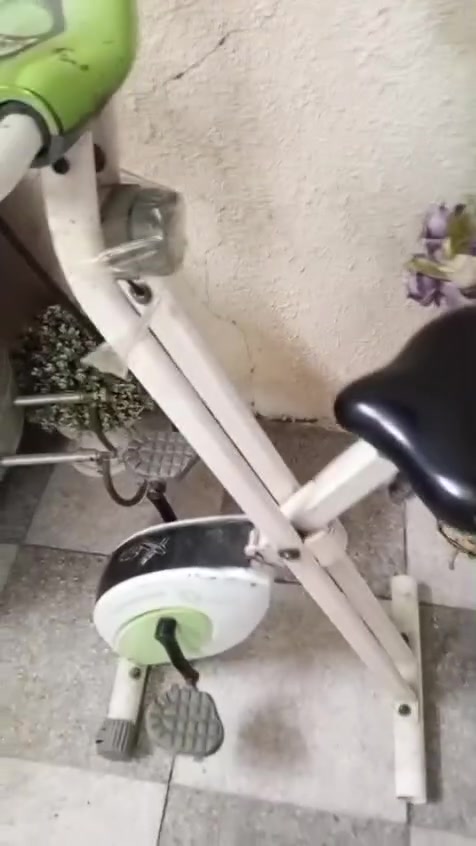 ديكور منزلي • بدون تفاصيل