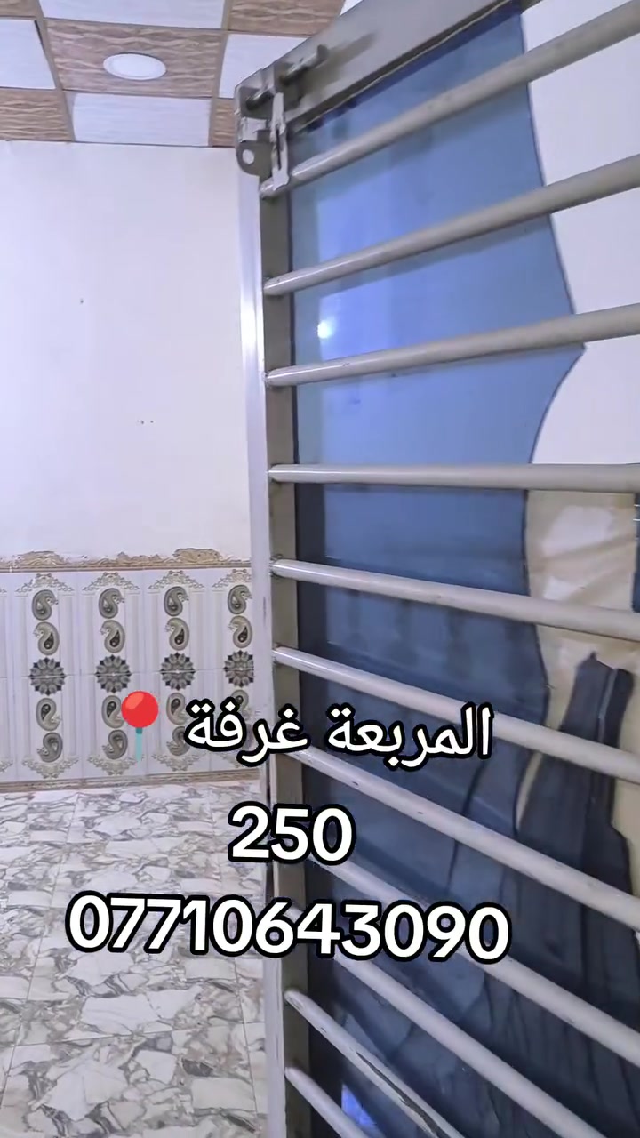 المربعة • للايجار • بدون تفاصيل