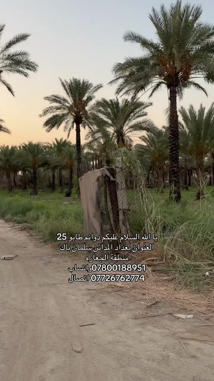 يا اللّٰه السلام عليكم دوانم طابو 25
العنوان بغداد المدائن سلمان باك
منطقة الجعاره
***********واتساب
*********** اتصال
 #بغداد #بغداد_المدائن_سلمان_باك
