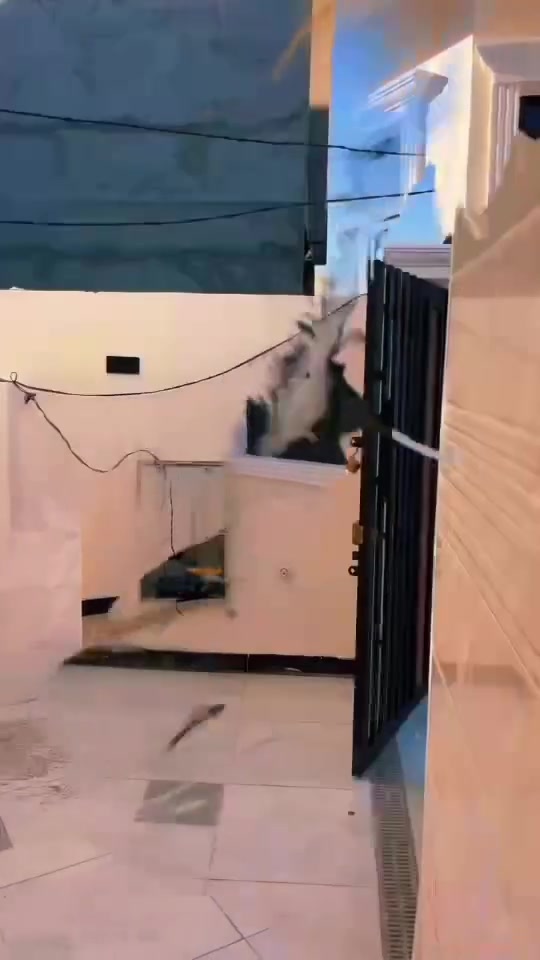 دار للبيع ١٢٥م طابقين ملك صرف التحرير الحولي
بسعر مناسب بالصداميات ملاحظة بيع اومراوس بقطعة ***********

