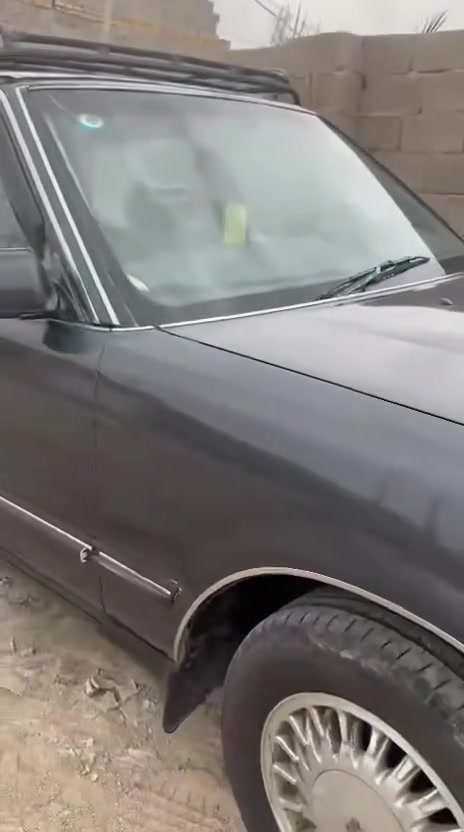 بطه كروان • صبغ عام • بصره