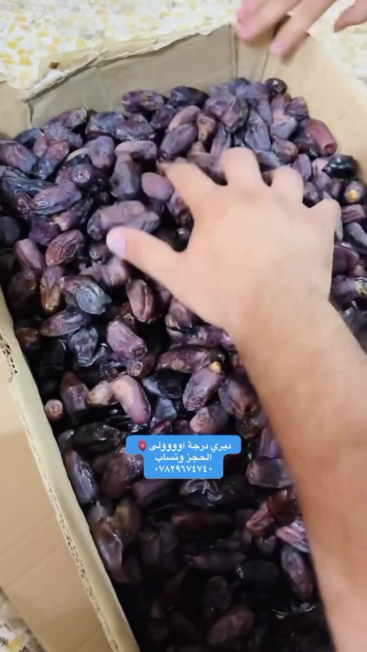 الديري يمنة الدرجة الاولى واللين العلاچي خسران الي مايطلب منه للحجز وتساب فقط *********** #تمور #السماوة #نخيل #ألعراق #الرقم_الصعب🔥👑
