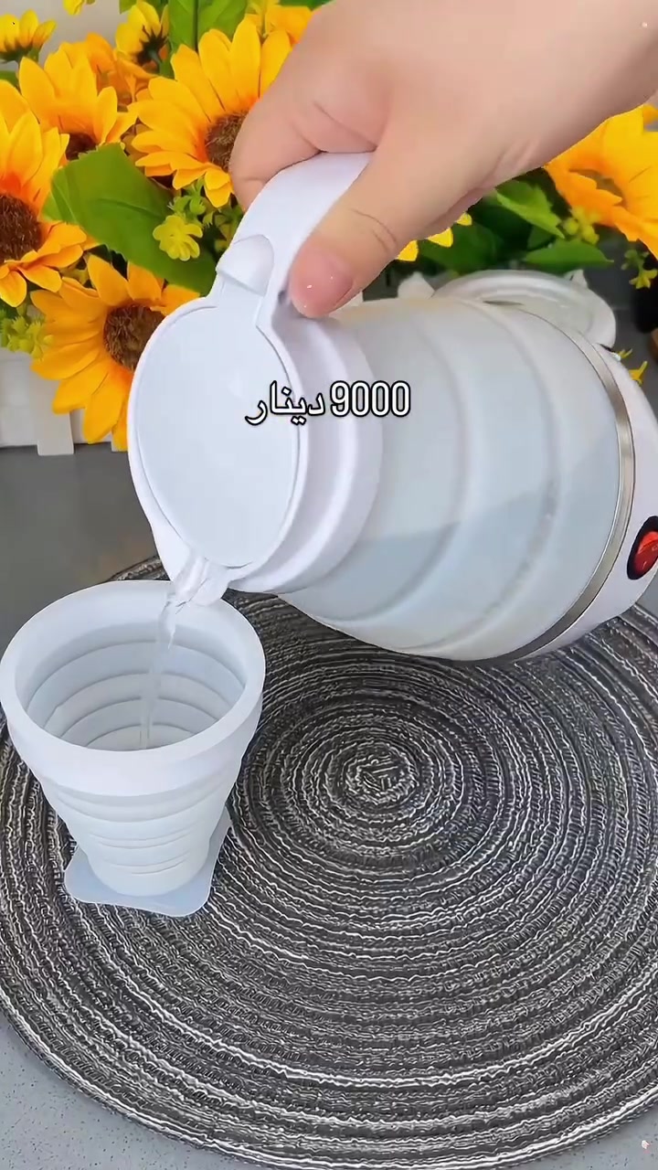 غلاية • سلكون • كهربائية