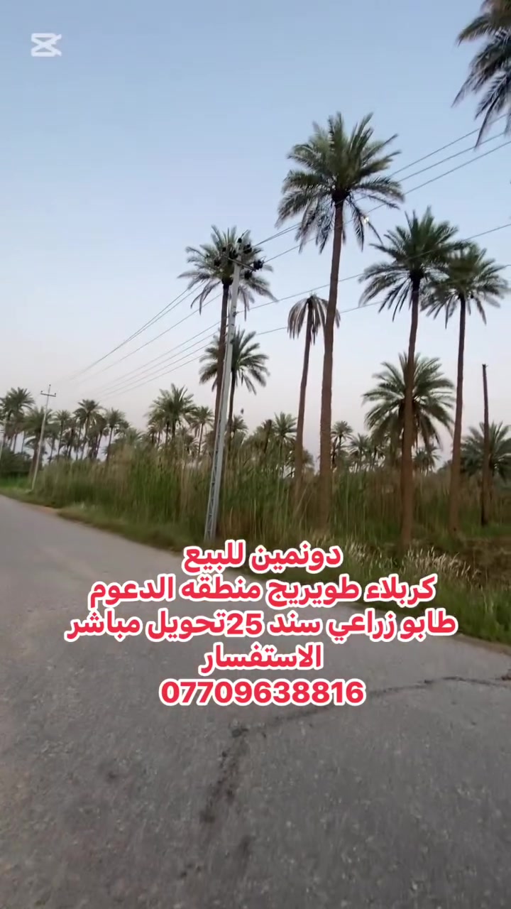 آللهم صلي على محمد وآل محمد 

دونمين للبيع 

كربلاء طويريج منطقه الدعوم 
طابو زراعي سند 25تحويل مباشر 
كافه الخدمات
كهرباء _مي اساله_مي سقي
واجهه شارع 
السعر 150مليون قابله لتفاوض 
الاستفسار وميض واثق 
***********
